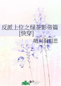 反派上位攻略快穿洛彬年