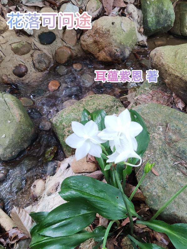 花途花落