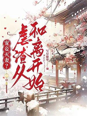 宠妾灭妻虐渣从和离开始免费阅读全文