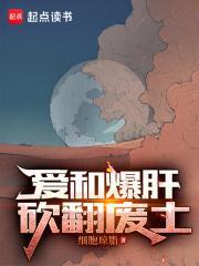 爱和爆肝砍翻废土无防盗