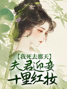 夫君迎妾十里红妆大结局