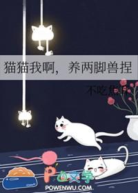 我养猫咪