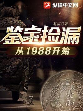 鉴宝捡漏从1988开始书旗