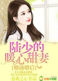 陆少的暖婚新妻原名