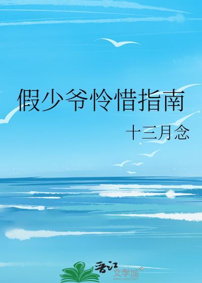 假少爷怜惜指南全文