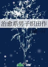 治愈系男子织田作无防盗