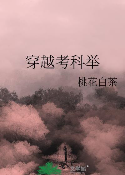 穿越考科举txt