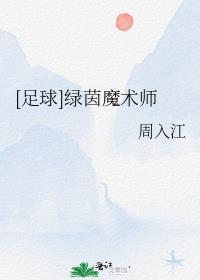 足球绿茵魔术师周入江笔趣阁