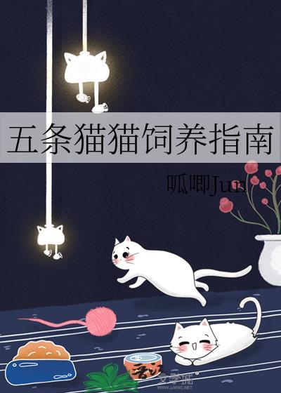 五条猫猫饲养指南呱唧Jun全文免费阅读