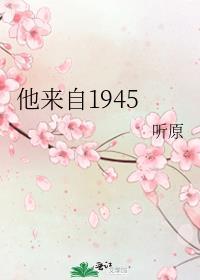 他来自1945和偷风不偷月是抄袭吗