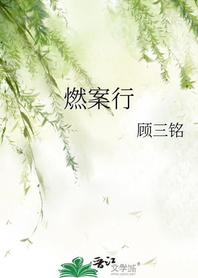 燃案行讲的什么