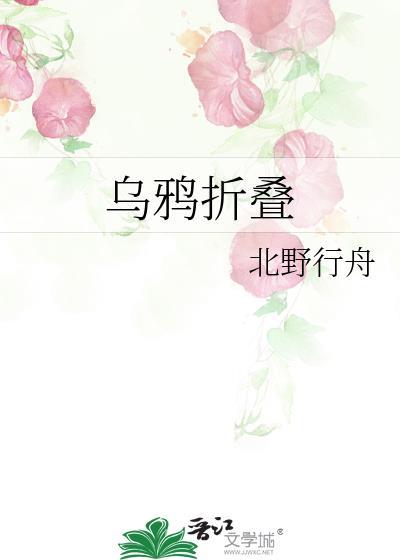 乌鸦折叠TXT