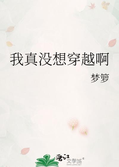 我真没想穿越啊王岳免费阅读