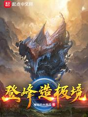 登峰造极境完整版