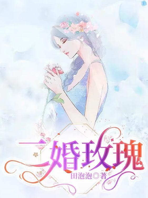 二婚玫瑰林淼月