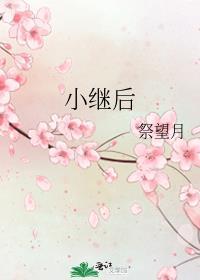 小继后沈祯免费阅读全文