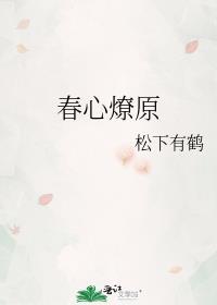 春心燎原讲了什么