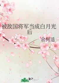 被敌国将军当成白月光后txt