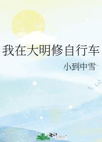 我在大明修自行车作者小到中雪