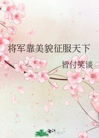 将军靠美貌征服天下 皆付笑谈