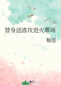 替身送渣攻进火葬场讲什么