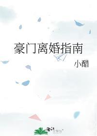 豪门离婚指南txt