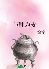 与师为妻 百度提取码