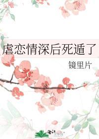 虐恋情深什么意思