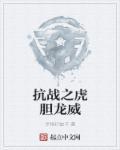 抗日龙虎之师笔趣阁