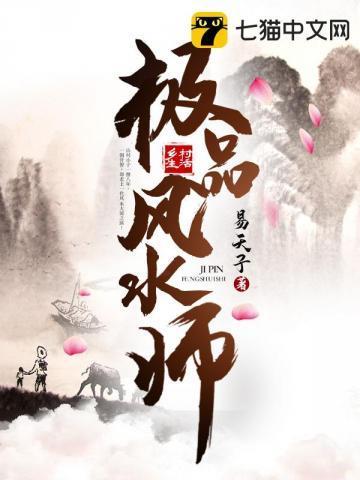 极品风水师陈易小