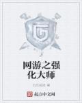 网游之强化大师TXT