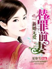 新婚无爱替罪前妻简介