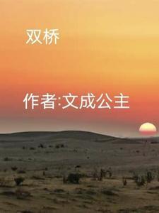 双桥老太太罗氏正骨地址在哪里