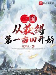 三国从汝南开局