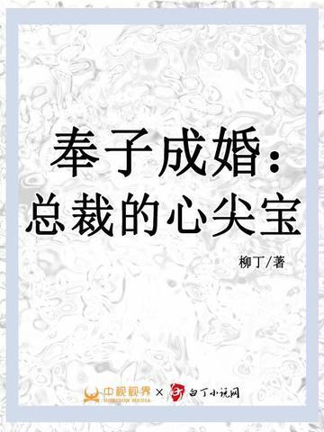 总裁奉子成婚了