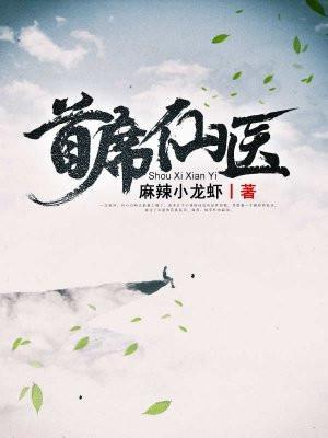 首席医圣无弹窗