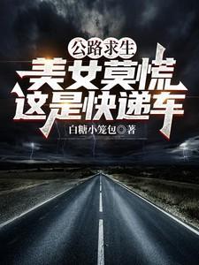 关于公路求生的