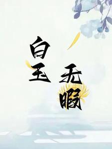 白玉无瑕打一字正确答案