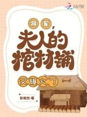 将军夫人圆房了