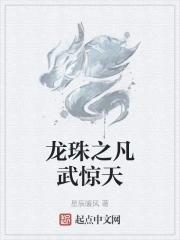 龙珠之武破万界笔趣阁