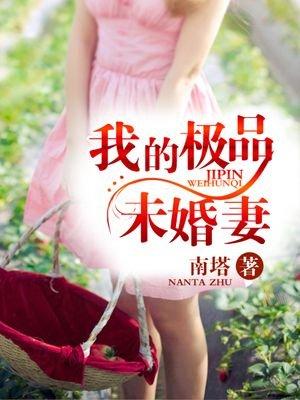 我的极品未婚妻林夏免费