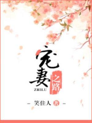 少将的宠妻之路