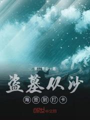 盗墓从沙海签到打卡_