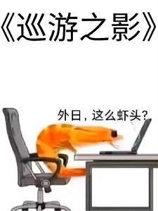 巡游者是什么意思