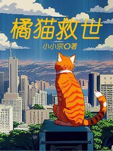 橘猫 乖