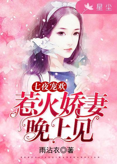 七夜宠妻如命