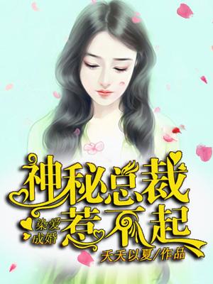 错嫁成婚总裁的神秘甜妻叶