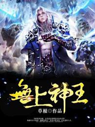 无上神王100集免费完整版