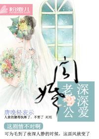 闪婚娇妻深深爱阅读