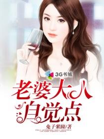 老婆大人是80后电视剧免费观看